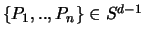 $\{P_1,..,P_n \} \in S^{d-1}$