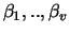 $\beta_1,..,\beta_v$