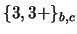 $\{3,3+\}_{b,c}$