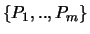 $\{P_1,..,P_m \}$