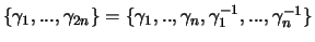 $ \{\gamma_1,...,\gamma_{2n} \} =
\{\gamma_1,..,\gamma_n,\gamma_1^{-1},...,\gamma_n^{-1} \}$