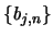 $\{{\mathit b}_{j,n}\}$