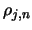 $\rho_{j,n}$