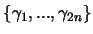 $\{\gamma_1,...,\gamma_{2n} \}$
