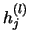 $h_j^{(l)}$