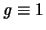 ${\mathit g} \equiv 1$